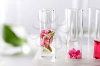 Test tubes with flowers in rack, closeup�