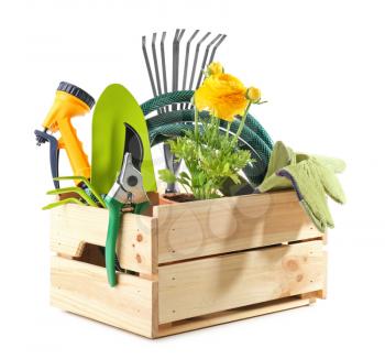 Wooden crate with gardening tools and plant on white background�