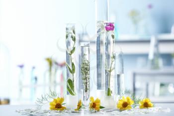 Test tubes with plants and flowers on table in laboratory�
