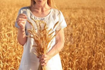 Beautiful woman with wheat spikelets in field on sunny day�