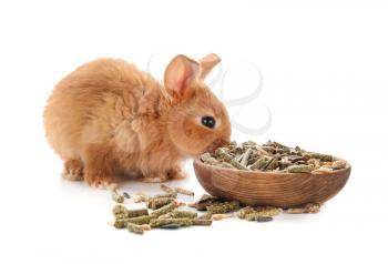 Cute fluffy bunny eating food from wooden bowl on white background�