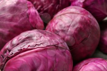 Ripe red cabbage, closeup�