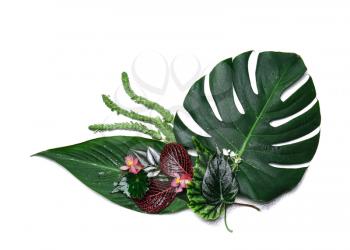 Composition with fresh tropical leaves and flowers on white background�