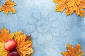 Beautiful autumn leaves with apples on color background�