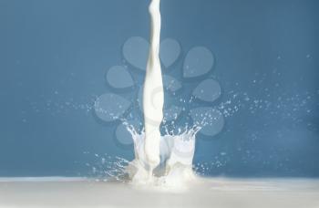 Splash of milk on color background�