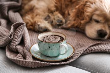 Cup of tasty aromatic coffee and cute sleeping dog on sofa�