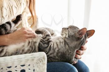 Cute cat with owner at home�