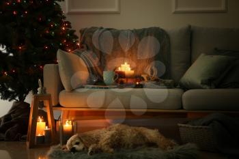 Cute dog near sofa with burning candles in room�