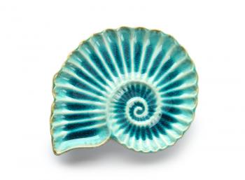 Stylish plate in shape of seashell on white background�