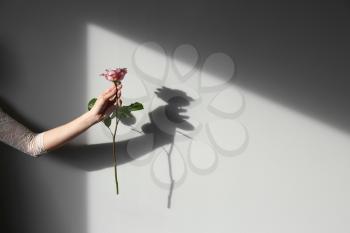 Female hand holding rose on light background�