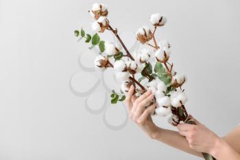Female hands holding floral composition with cotton flowers on light background�