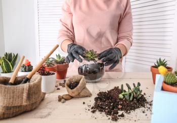 Woman transplanting succulent at table�
