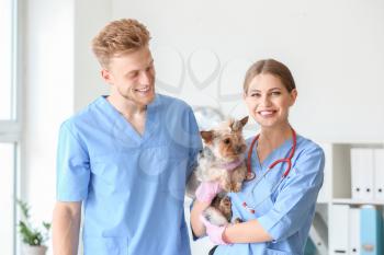Veterinarians with cute dog in clinic�