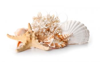 Beautiful sea shells, starfish and coral on white background�