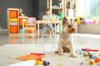 Cute dog sitting near paints and pencils on messed carpet�