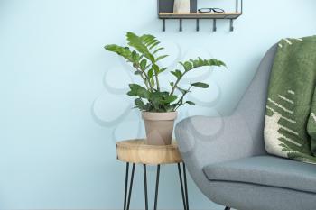 Table with houseplant and armchair near color wall�