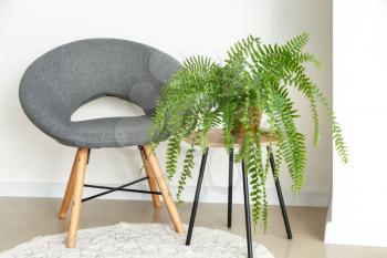Chair and table with houseplant near light wall in room�