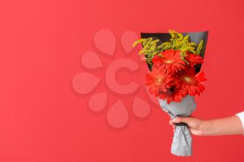 Female hand with bouquet of beautiful gerbera flowers on color background�