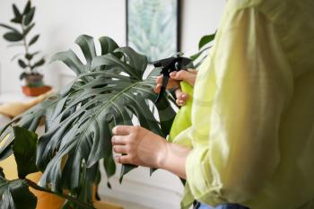 Young woman spraying water on houseplant at home, closeup�