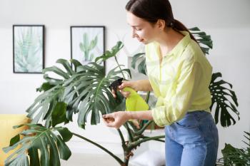 Young woman spraying water on houseplant at home�