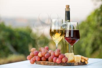 Glasses, bottle of tasty wine, cheese and grapes on table in vineyard�