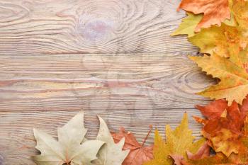 Different autumn leaves on wooden background�