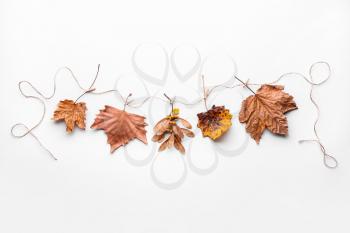 Garland made of autumn leaves on white background�