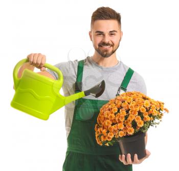 Handsome male gardener with watering can and plant on white background�