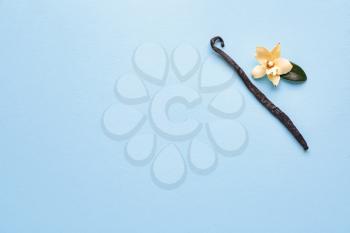 Aromatic vanilla stick and flower on color background�
