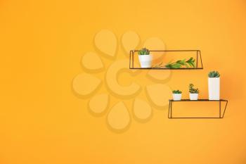 Shelves with houseplants on color wall�