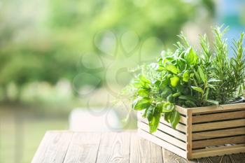 Wooden crate with fresh aromatic herbs outdoors�
