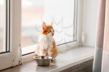 Cute little kitten and bowl with food on window sill�