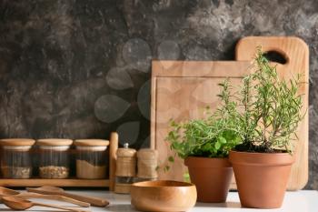 Pots with fresh aromatic herbs and spices on light table�