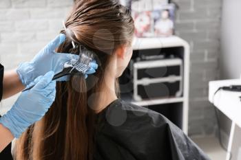 Female hairdresser dyeing hair of beautiful young woman in salon�