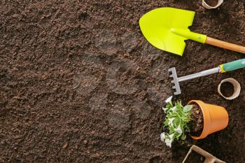 Supplies for gardening with plant on soil background�
