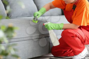 Dry cleaner's employee removing dirt from sofa in house�