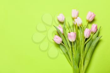 Beautiful tulip flowers on color background�