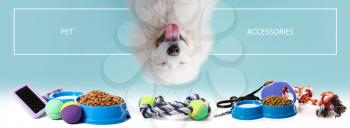 Advertisement banner for pet accessories with cute dog�