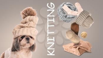 Cute dog with knitted clothes and yarn on grey background. Concept of heating season�
