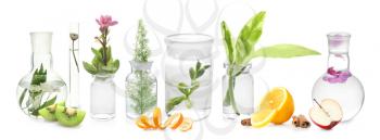 Laboratory glassware with plants and fruits on white background�