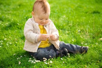 Royalty Free Photo of a Little Boy in a Meadow Holding a Daisy