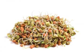 Royalty Free Photo of Lentils With Sprouts