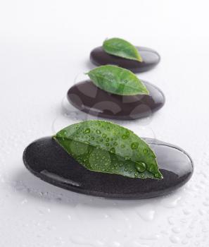 Zen stones with leaves and water drops on white background.Shallow DOF