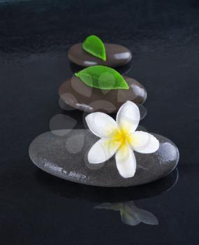 zen stones with frangipani flower on black  background