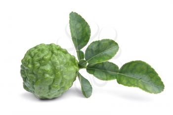 Fresh kaffir lime with leaf isolated on white background 