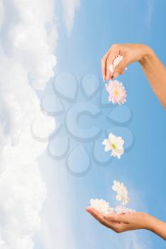image of beautiful female hands with flower against the sky