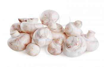 white fresh mushrooms isolated on white background