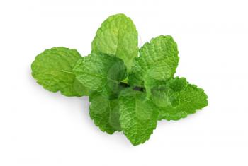 Fresh mint leaves close up isolated on white 