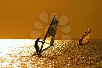 Royalty Free Photo of a Windsurfer