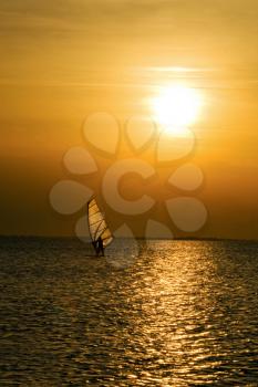 Royalty Free Photo of a Windsurfer